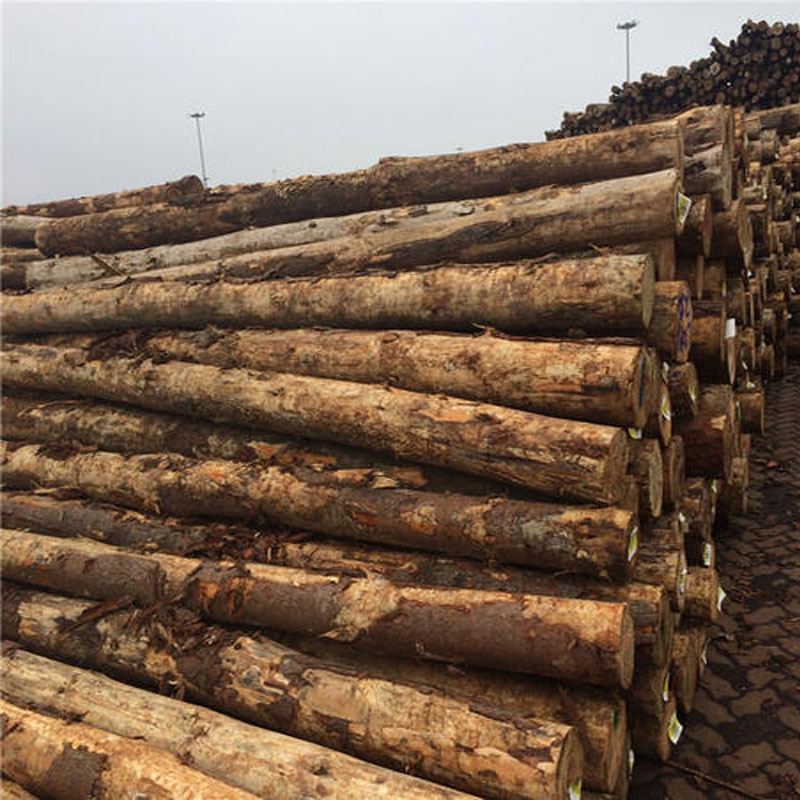 天津百年建築木方廠家