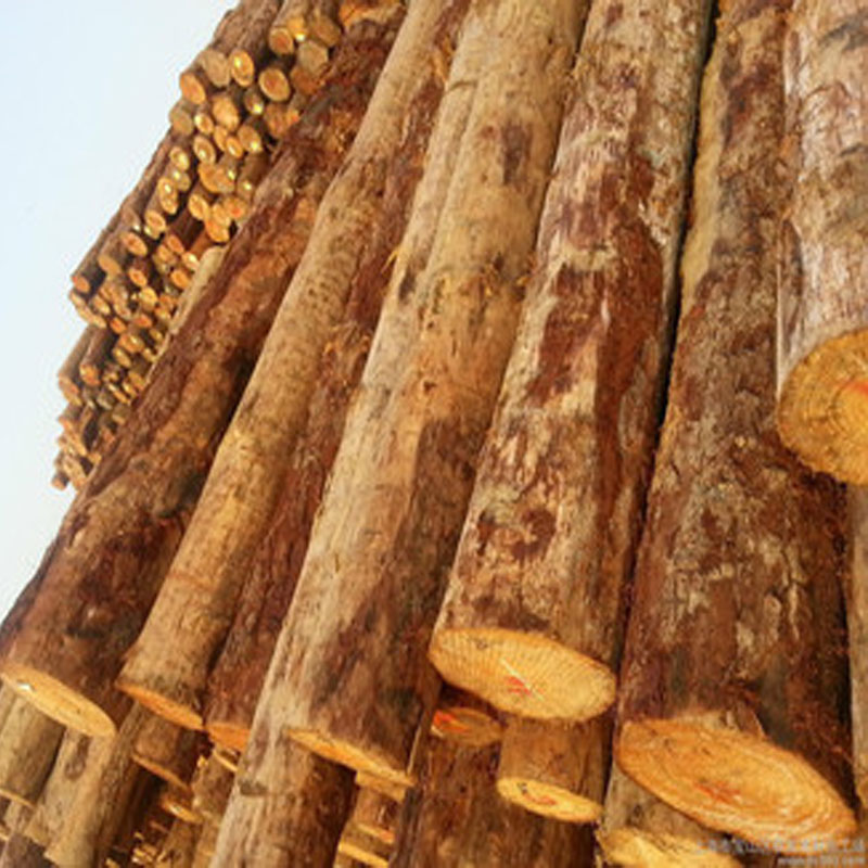 臨高百年竹膠板批發