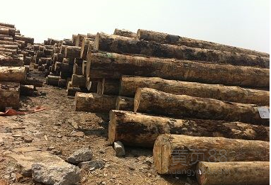 龍岩進口木方模板價格