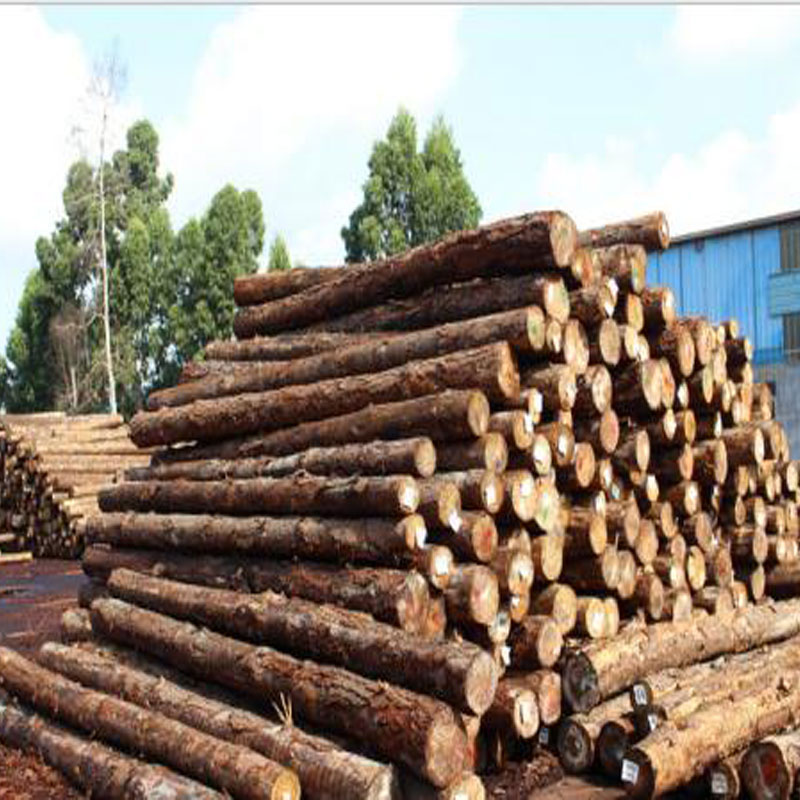 溫州進口板材價格