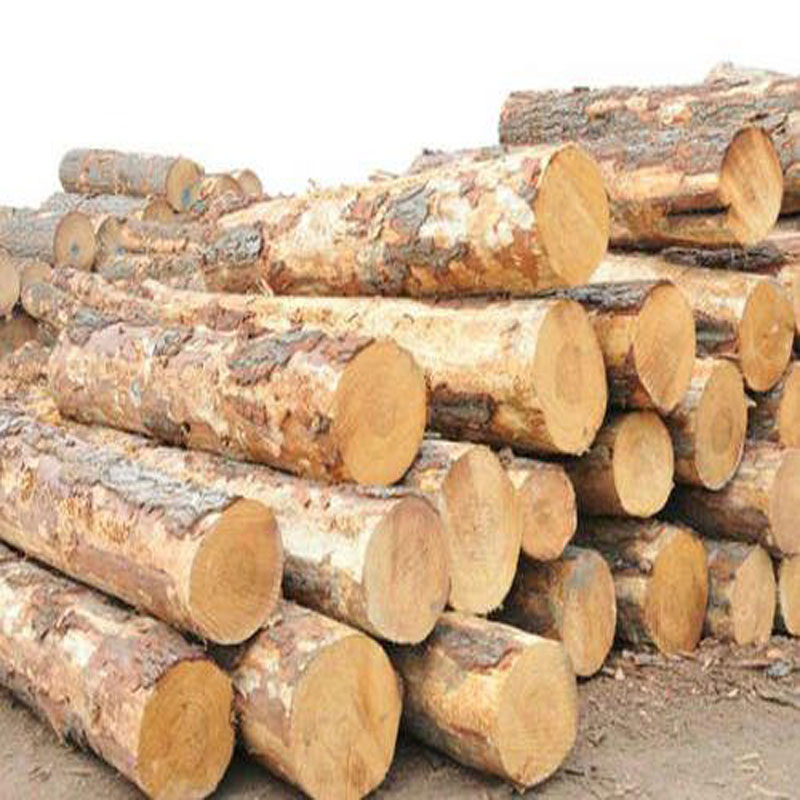 屯昌百年竹膠板批發