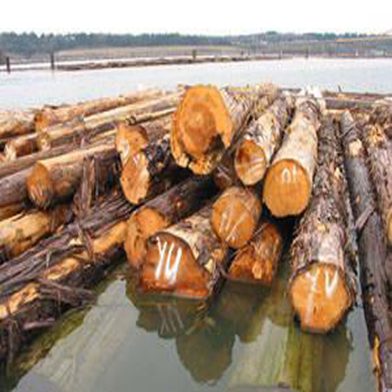 天津百年建築木方廠家